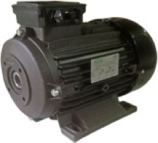 Мотор H112 HP 7.5 2P MA AC KW 5,0 2P